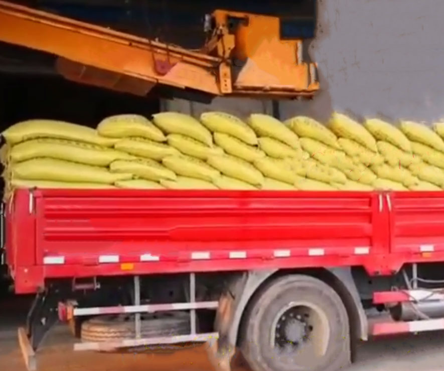 自(zi)動裝車機 碼垛裝(zhuang)車機